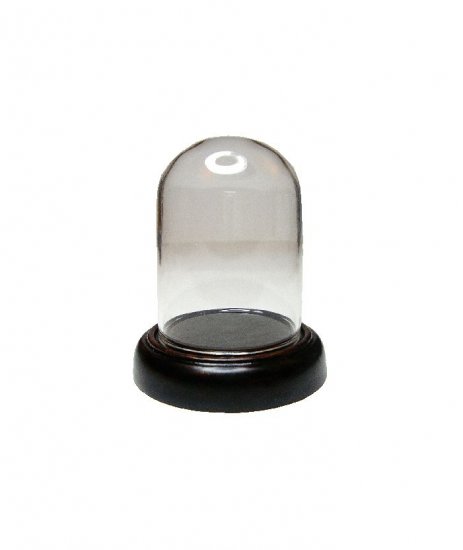 DSC20 Glass Dome Display on Wood Base - Click Image to Close