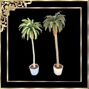 Palms choice of two types