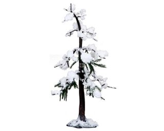 04198 Scotch Pine Large