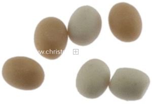 DIM65333 Eggs (6)