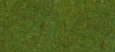 T30911 Grass Mat Dark Green 75 x 100