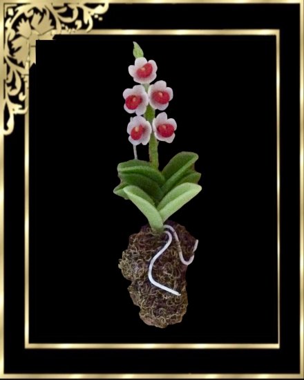 DA062 Orchid Hanging Red / White - Click Image to Close