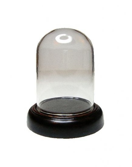 DSC21 Medium Dome on Wooden Base - Click Image to Close