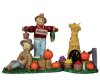 12894 Autumn Display 2011 12894 Autumn Display 2011