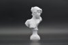 APR124 Bust Sapphos Head 50mm high
