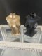 APR120 Jewellery Display Bust