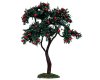 14383 Apple Tree 9" 2011 14383 Apple Tree 9" 2011