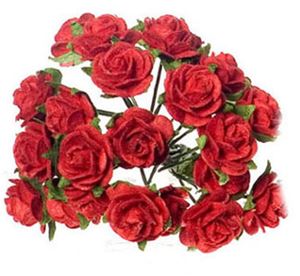 DFCA3080 Red Rose Pkt 6