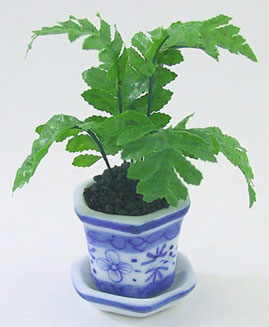DH6658 Chinese Fern in White Blue Pot - Click Image to Close