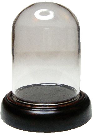 DSC22 Large Dome on Wooden Base - Click Image to Close