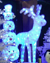 Light Up Christmas Displays